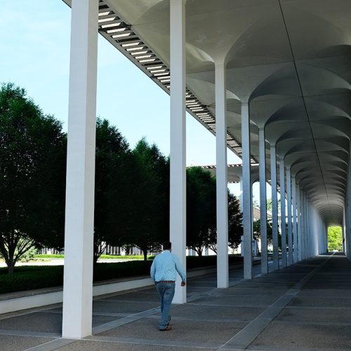 ny albany university at albany suny jpg allan greller 2025 (52)