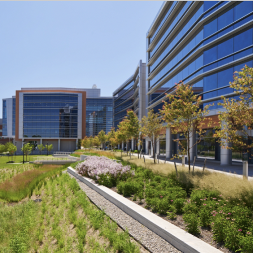 rutgers new chemistry building